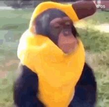 Monkey Banana GIF - Monkey Banana Bathtime - Discover & Share GIFs