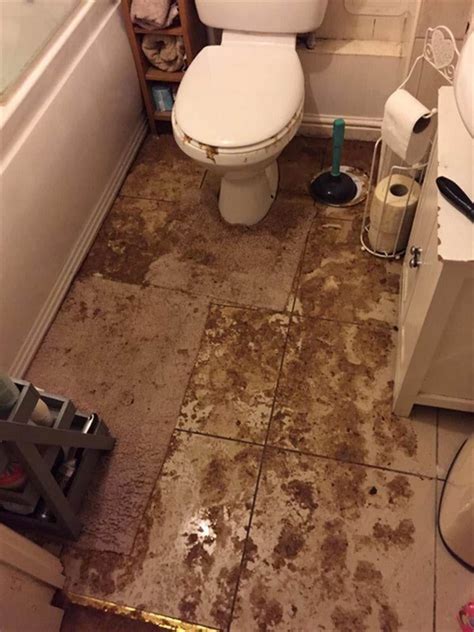 How to Deal with Sewage Overflow in Bathroom - PuroClean of San Clemente