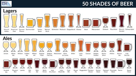 50 Shades of… Beer (Explore the Rainbow of Brew!)