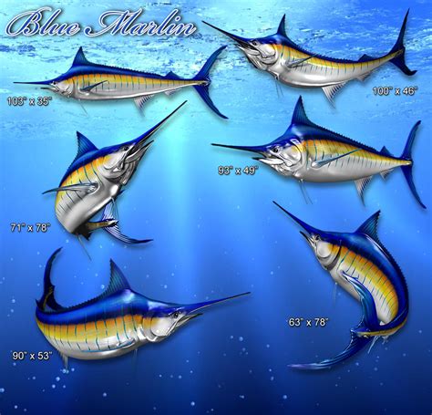 Blue Marlin 3 | Aurora Graphics