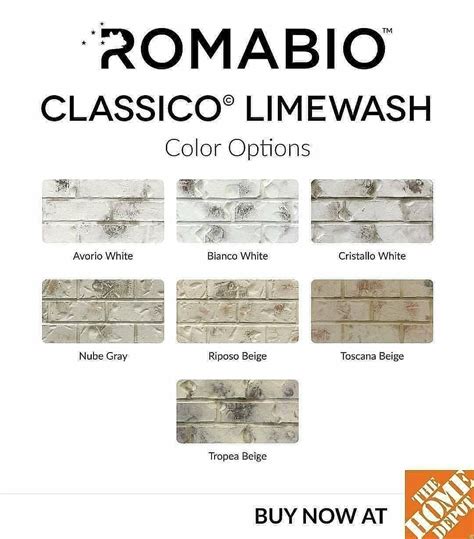 All 7 Classico Limewash paint colors and Romabio Masonry Brush, are ...