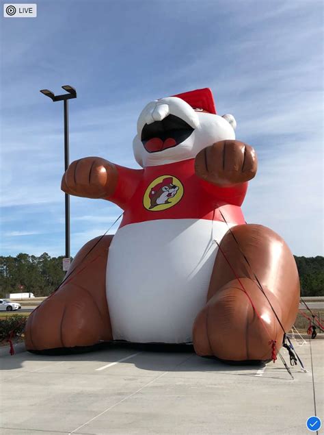 Florida, Georgia, North Carolina: Buc-ee's founder details U.S ...