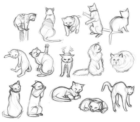 gatos – Búsqueda de Google - Gatos Tiernos | Animal drawings, Cat ...