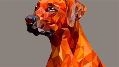 Polygon Animal Wallpapers - Top Free Polygon Animal Backgrounds ...