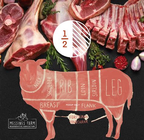 1/2 Grass Fed Lamb (Avg 12kg) **DEPOSIT ONLY – READ DESCRIPTION** Pre ...