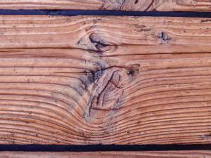 Defects in Timbers: Types and Prevention - Tree To Timber