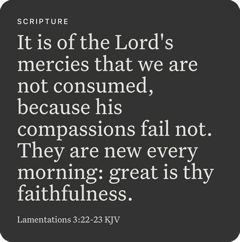 Lamentations‬ ‭3:22-23‬ ‭KJV‬‬ | Lamentations, Bible apps, Kjv