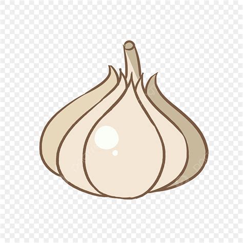 Hand Drawn Vegetables PNG Transparent, Hand Drawn Cartoon Garlic ...