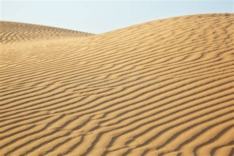 Sand dunes of desert Thar stock image. Image of rajasthan - 105634285