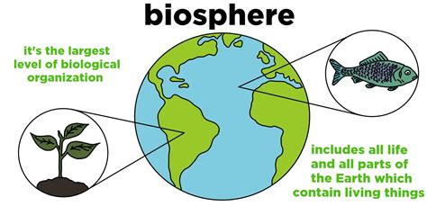 Biosphere — Definition & Importance - Expii