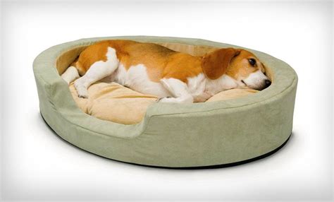 Heated Pet Beds That'll Keep Your Dogs and Cats Toasty All Winter Long