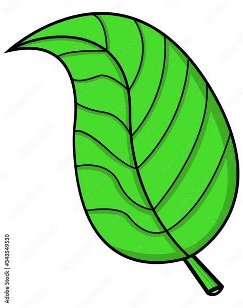 Dibujo de Hoja de árbol Verde Stock Illustration | Adobe Stock