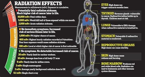 ~pengHuni~: The Radiation Effects on Human Body