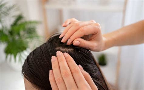 Blogs | Scalp Treatment For Oily Scalp - MUCI Herbal Hair Care