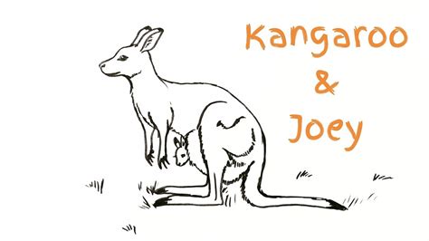 How to draw a kangaroo and joey - YouTube