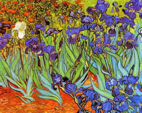 Irises Vincent Van Gogh - Paint By Numbers - Num Paint Kit