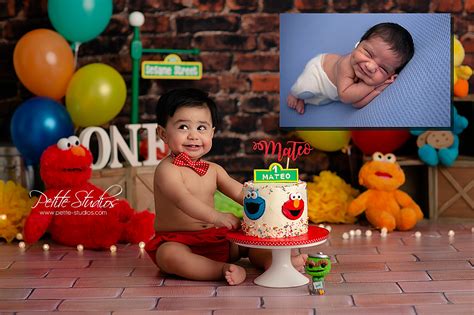 Naperville and Chicago First Birthday Photographer – Sesame Street Elmo ...