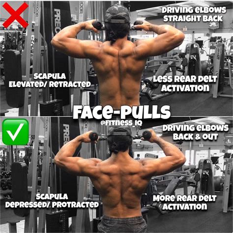 How to FACE-PULLS | Exercise Videos & Guides - weighteasyloss.com