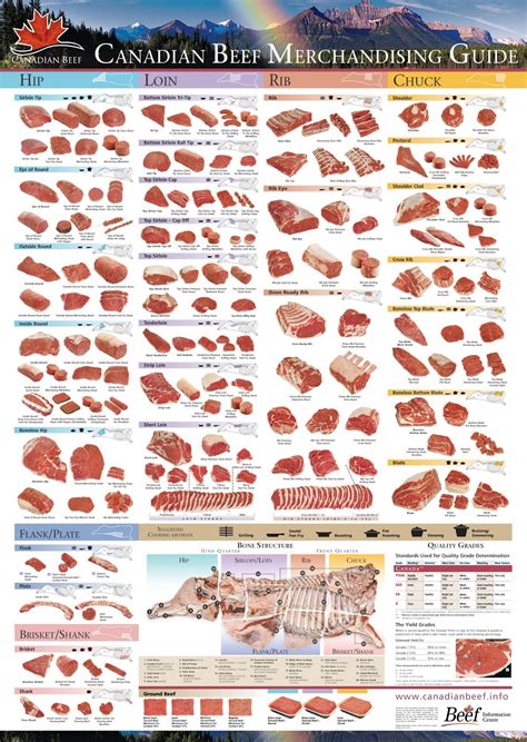 PRIME RIB (AMERICANISED-UNITED STATES OF THE AMERICAS-TERM FOR PRIMAL ...