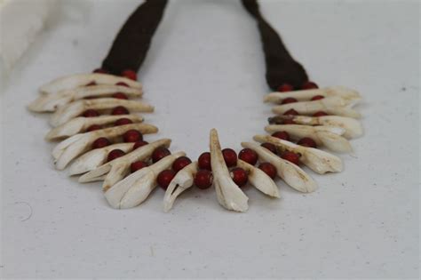 Native American Bear Teeth Necklace