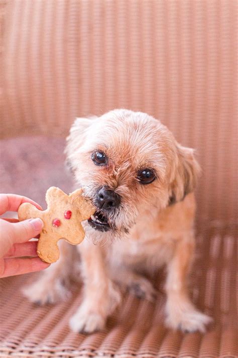 Christmas Dog Treats - Princess Pinky Girl