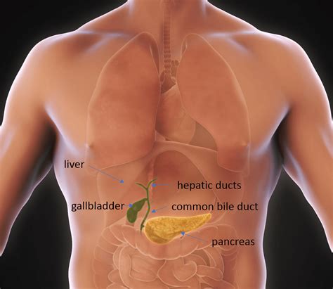 Gallbladder Pain In Back