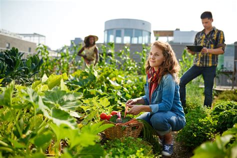 5 Inspiring Urban Community Garden Projects for City-Dwellers - Goodnet