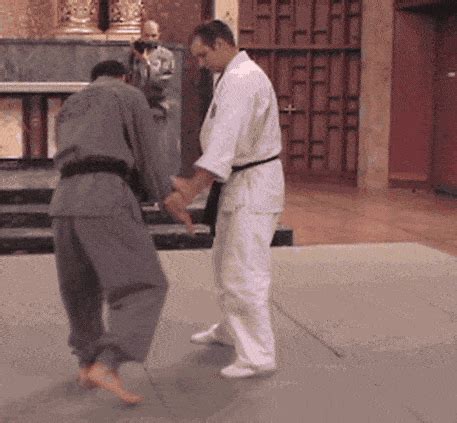 Judo Gif - IceGif