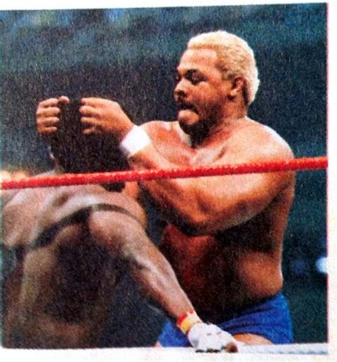 Classic Wrestling World Photos: Butch Reed Photos