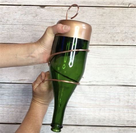 5 Ways to Use Old Wine Bottles in Your Garden | Hometalk