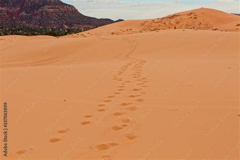 Coral Pink Sand Dunes Stock Photo | Adobe Stock