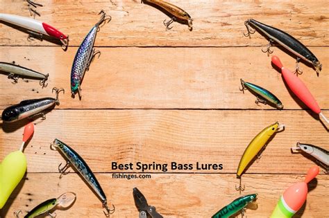 Best Spring Bass Lures For 2022 [Top 5 Picks Fishing Lures]