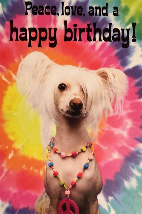 Peace, Love, and a HAPPY BIRTHDAY Dog Funny Kool 5”x7” Hallmark ...