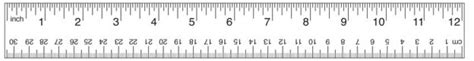 Printable Rulers - Free Downloadable 12" Rulers - Inch Calculator