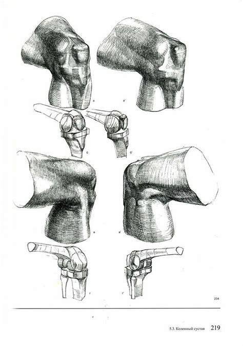 133 best images about Anatomy - Knees on Pinterest