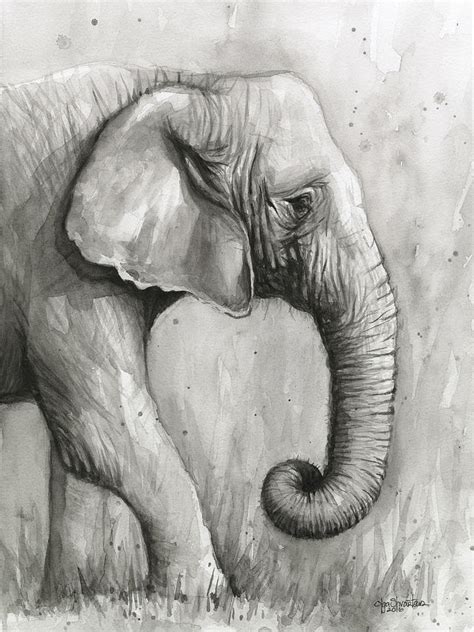 Elephant Watercolor Painting by Olga Shvartsur