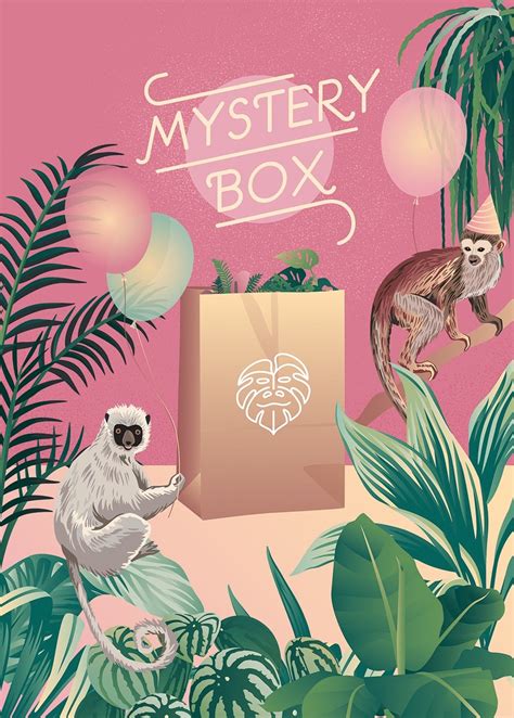 Mystery Box Bezpieczny dla zwierząt mix - Jungle Boogie