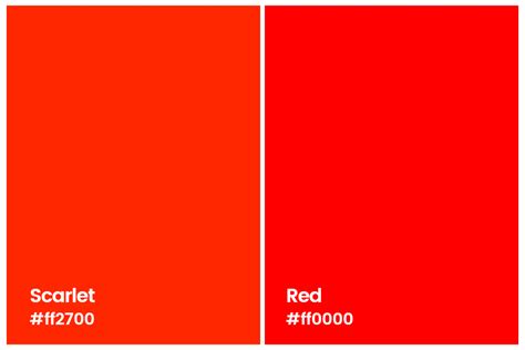 All You Want to Know About Scarlet Color: Meaning, Combinations and ...