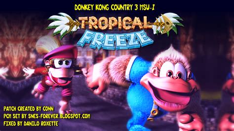 Donkey Kong Country 3