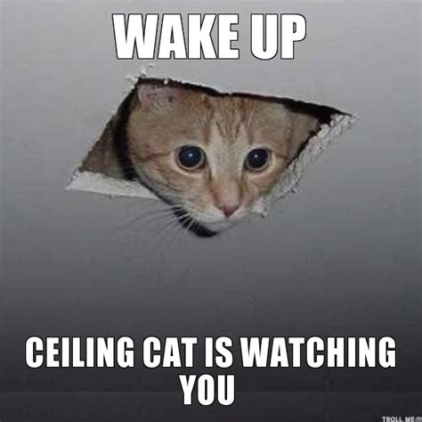 Wake Up Memes - Gallery | eBaum's World