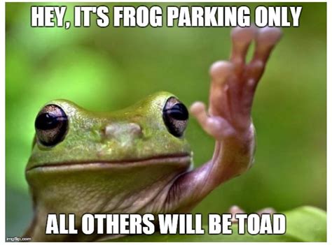 Giggles Week #12: Frog Memes – mYeBEAT