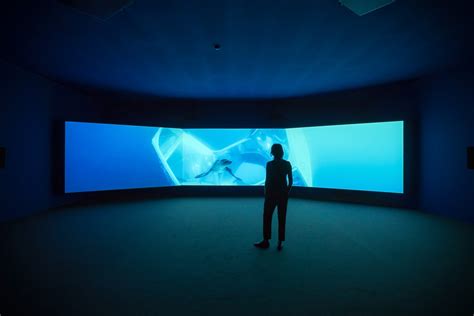 Doug Aitken - Underwater Pavilions - FAIRS - 303 Gallery