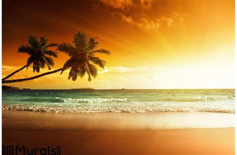 Sunset on the beach of sea Wall Mural