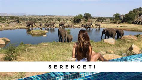 The Serengeti Four Seasons - An unforgettable Safari! - YouTube