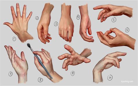 Drawing Models Hand at Cary Devries blog