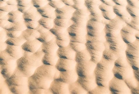 Rippled Sand Surface - Free Texture