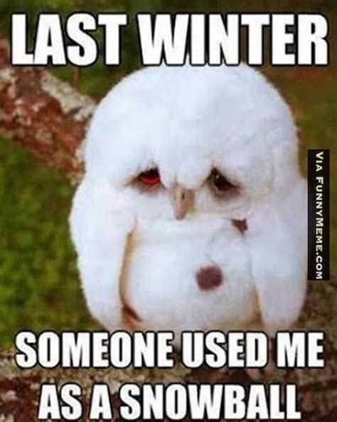 55 Funny Winter Memes That Are Relatable If You Hate Snowstorms