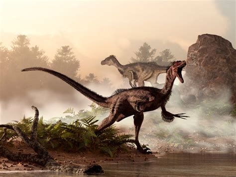 How Dinosaurs Shrank and Became Birds - Scientific American