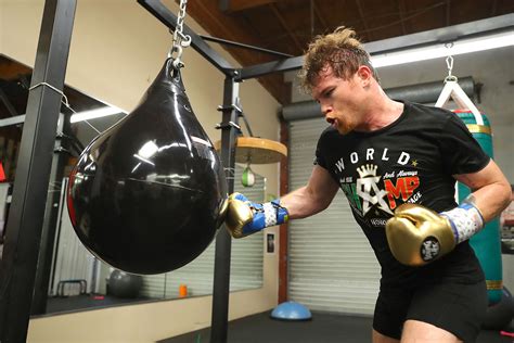 Canelo Alvarez Training Camp Notes as He Prepares for Gennady Golovkin ...