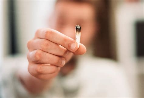 Weed Smokers! Are You Increasing Risk of Suffering from COVID